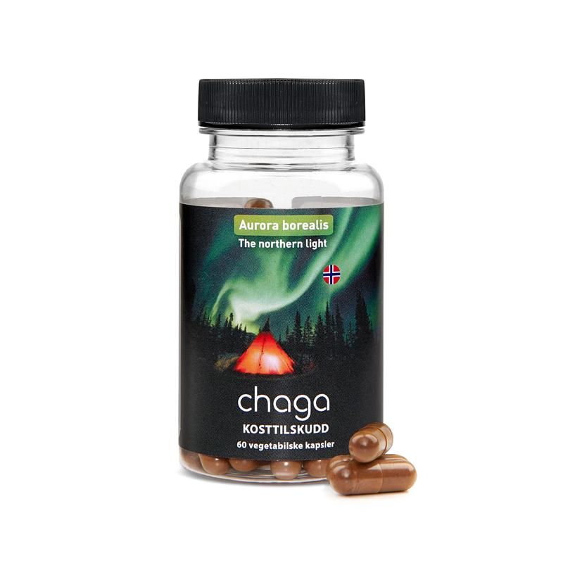 Chaga kapsler